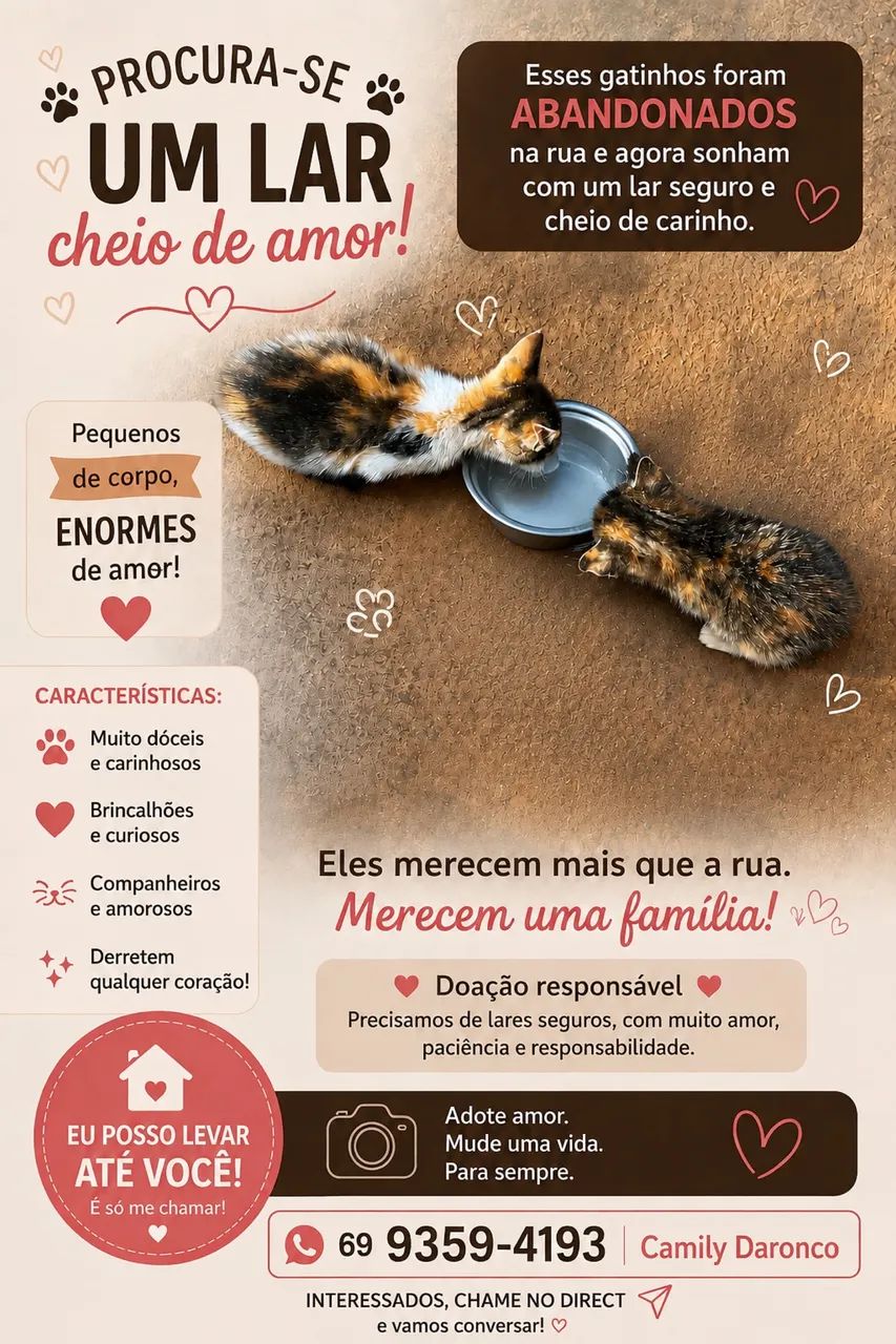 Doação Responsável 