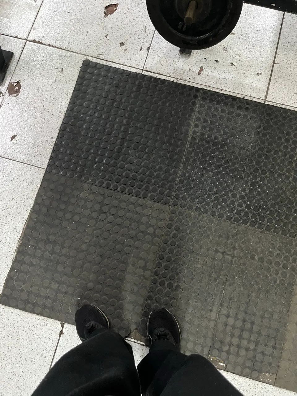 Piso moeda