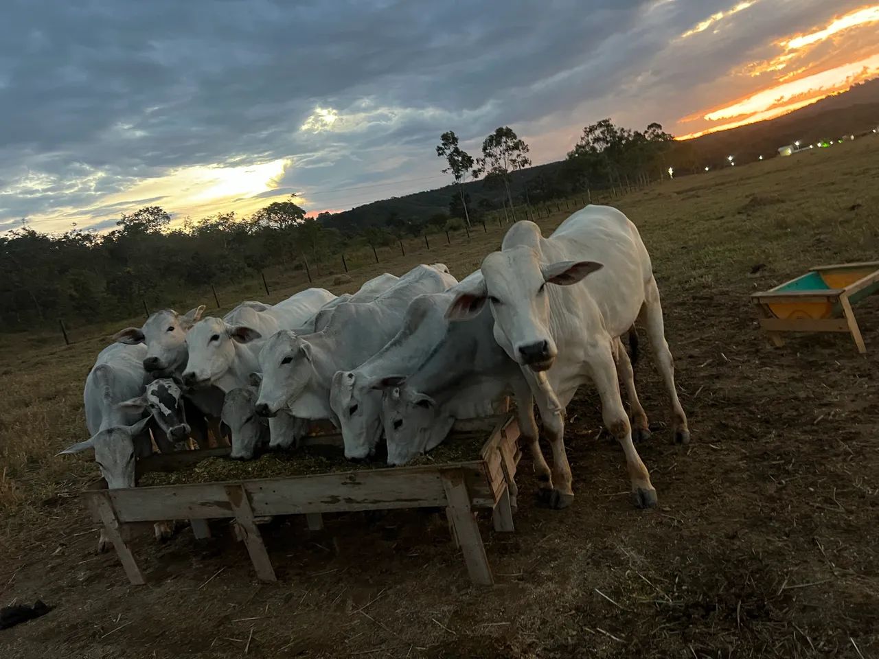 Vendo 22 hectares no DF escriturado