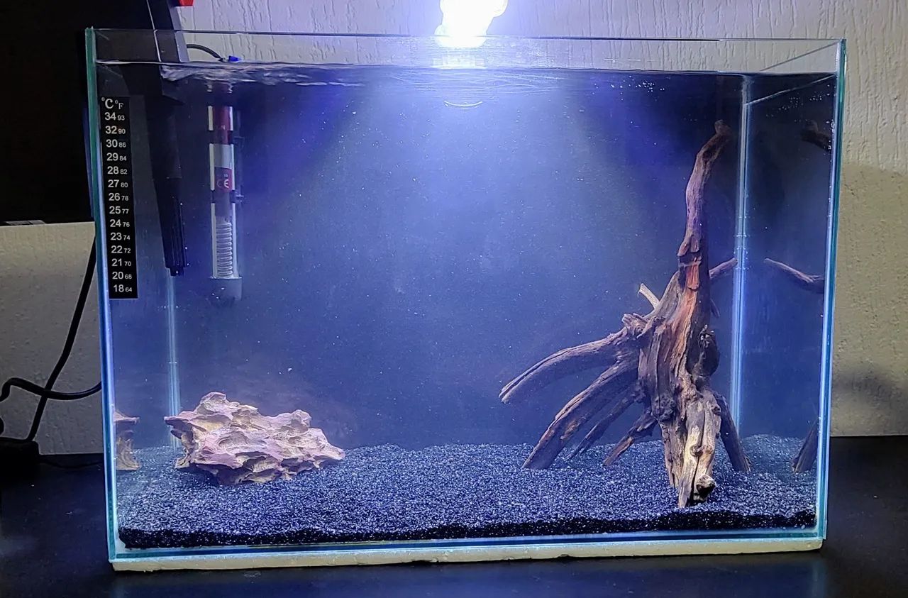 Aquário Completo 48L