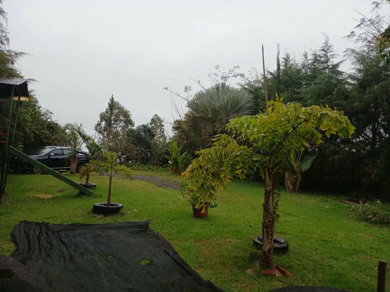 Chácara próximo a cidade de Palmital Sp - Foto 3
