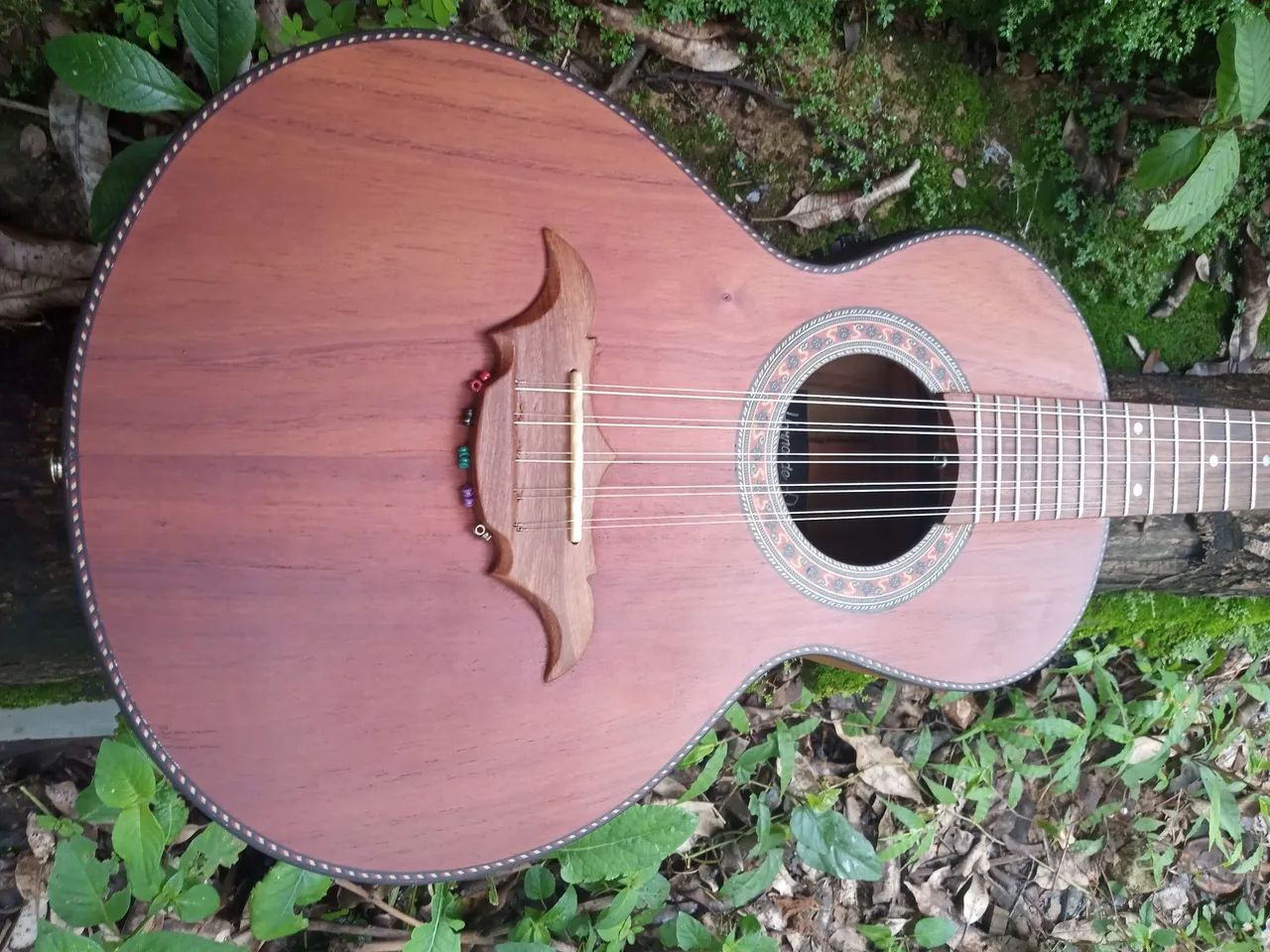 Viola maciça  - Foto 3