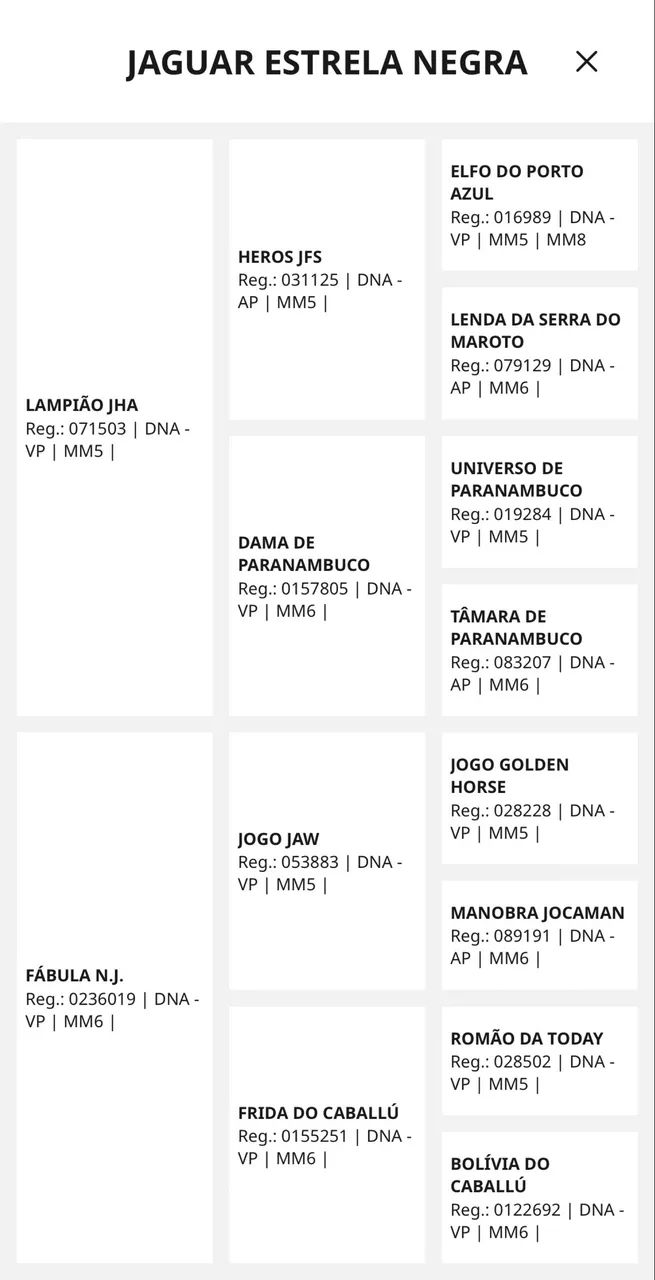 POTRO PAMPA REGISTRADO  - Foto 6