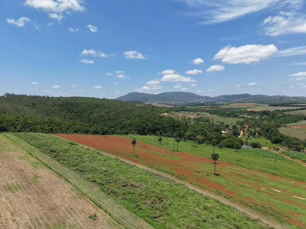 "Fazendinhas de 20 mil m² região de  Florestal - MG" - Foto 5