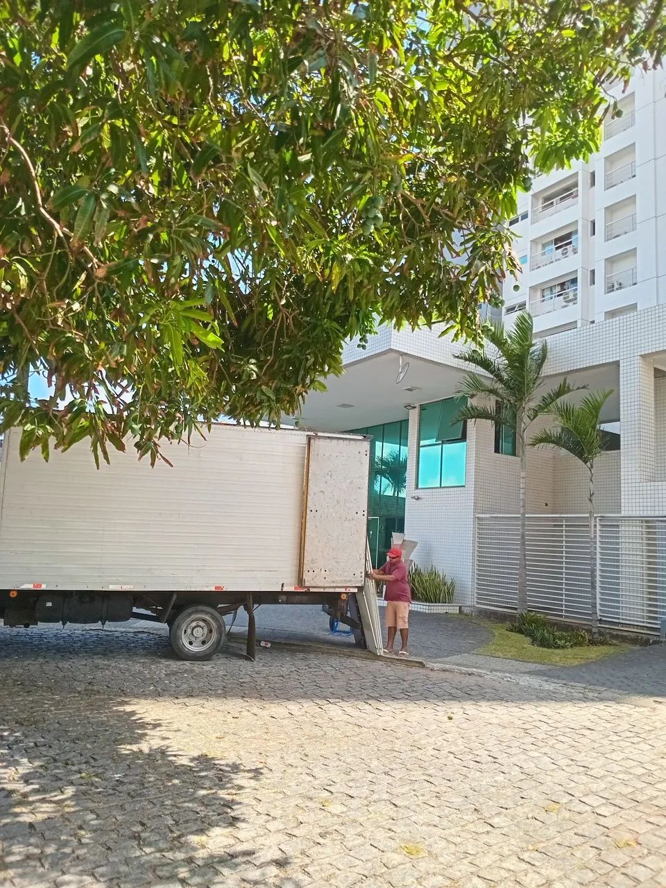 Mudança  - Foto 4