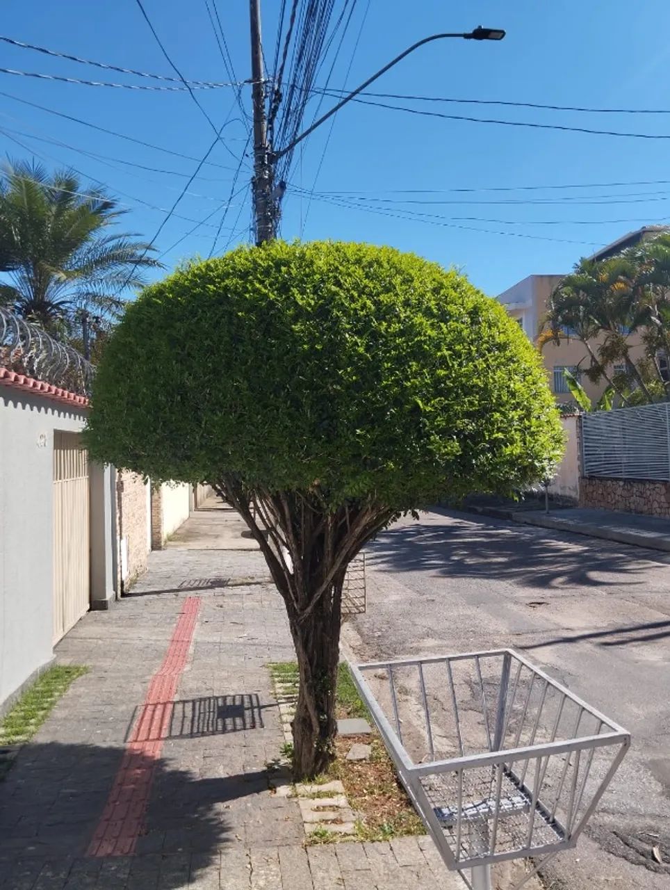 Faço serviço de jardinagem em geral 