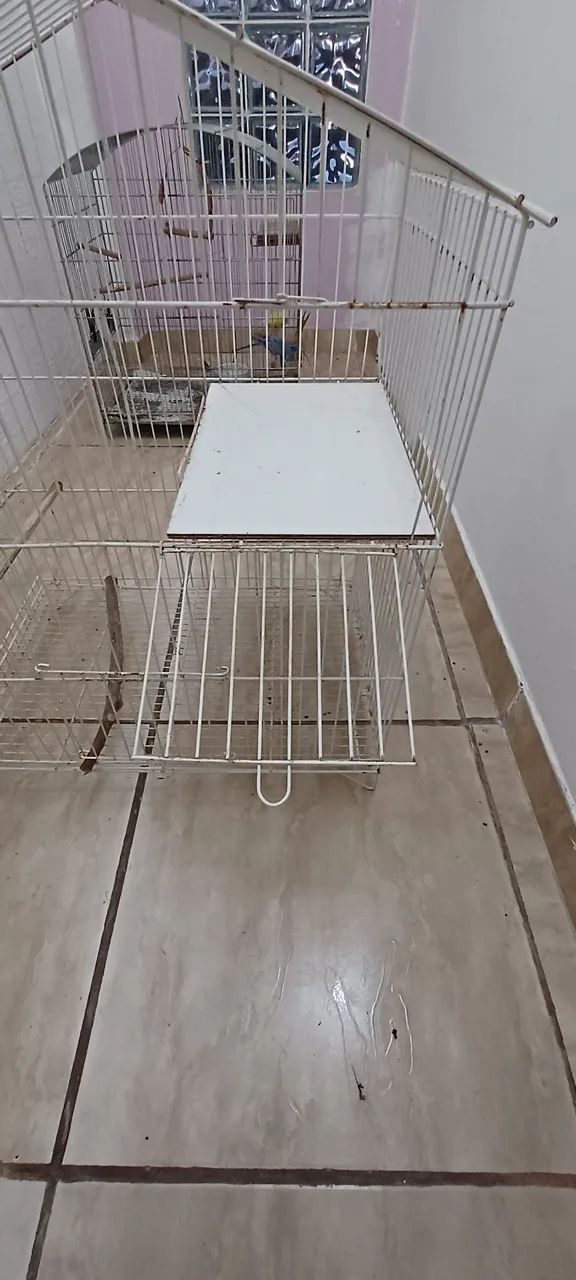 Gaiola branca - Foto 3