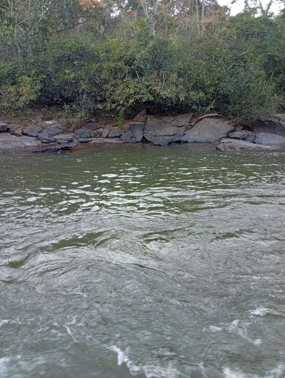 Chácaras de lazer com Rio dourados aos fundos. - Foto 5