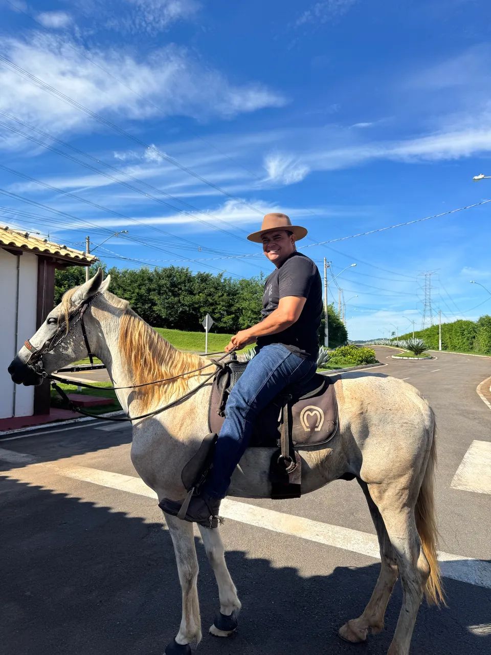 Cavalo