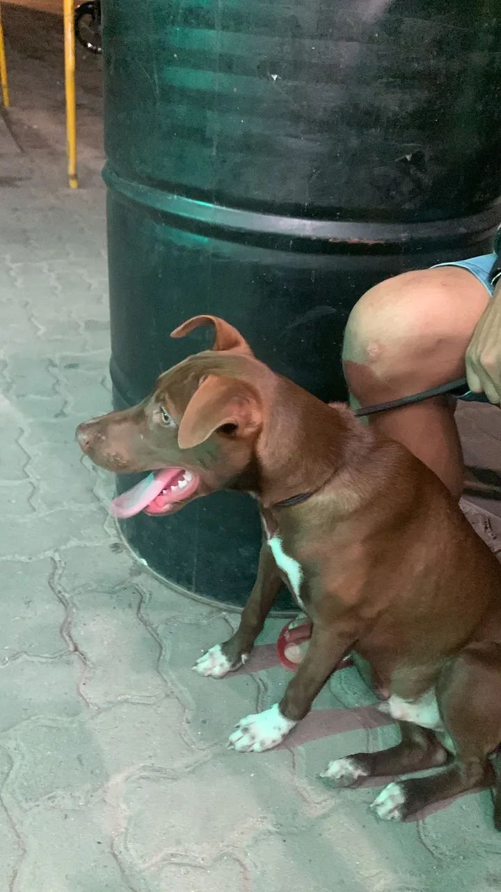 Doação 