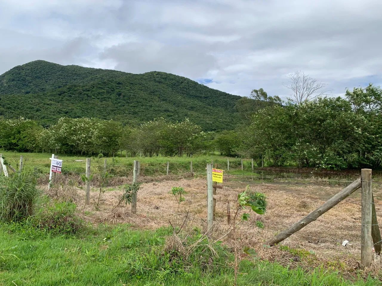 Ótimo terreno com 450m no Ribeirão da ilha - Foto 5