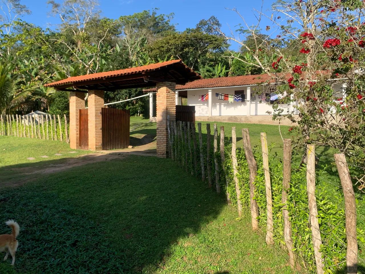 Sítio disponível a venda em guaramiranga! - Foto 3