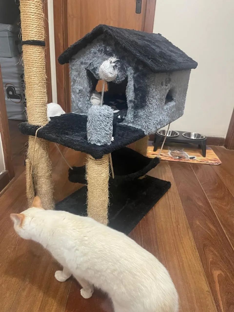 Casa de gatos - Foto 2