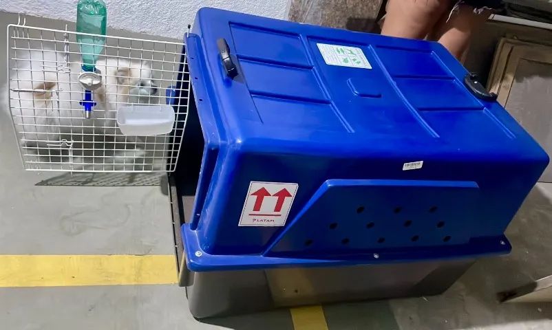 CAIXA DE TRANSPORTE EXCELENTE - Foto 2