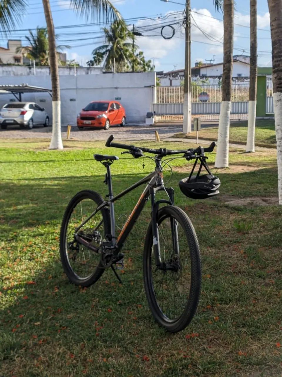 Aro 29 Audax 