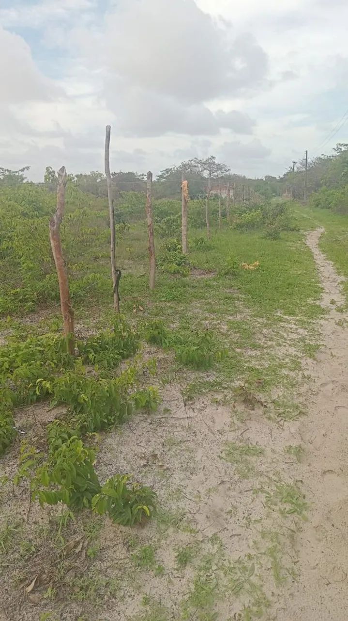 Venda de terreno  - Foto 2
