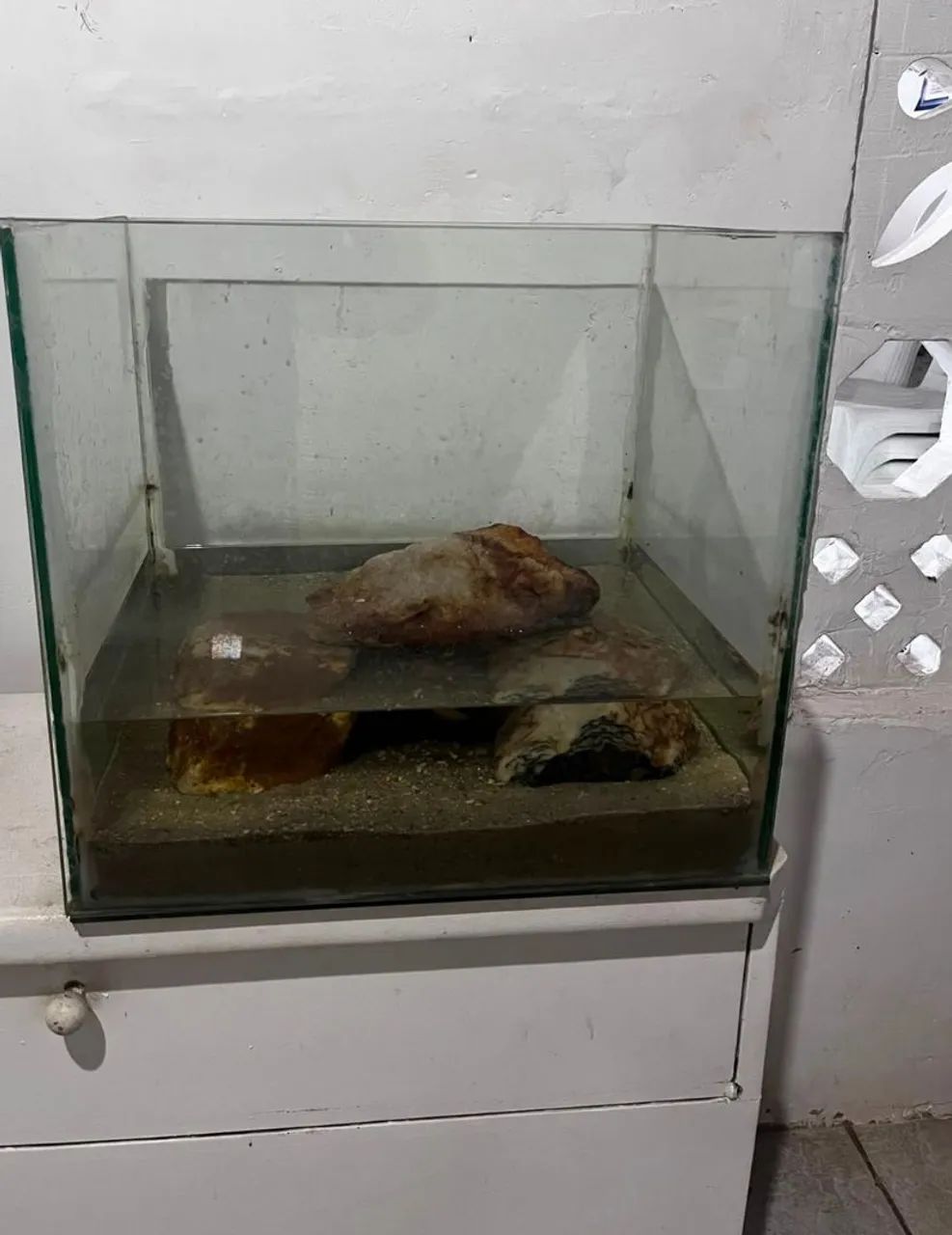 Aquário  - Foto 4