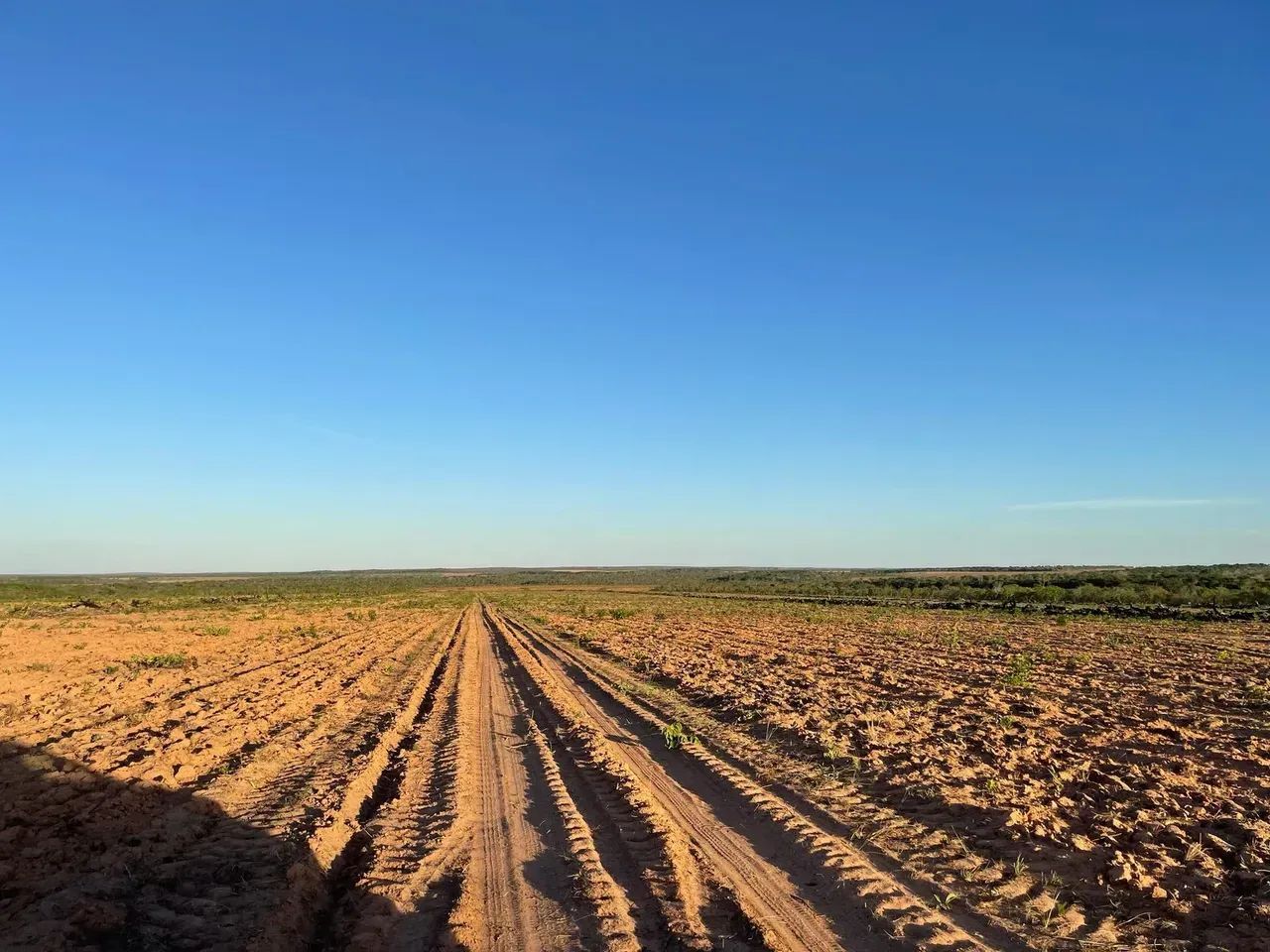 Vendo Fazenda no Tocantins , Oportunidade!!! - Foto 4