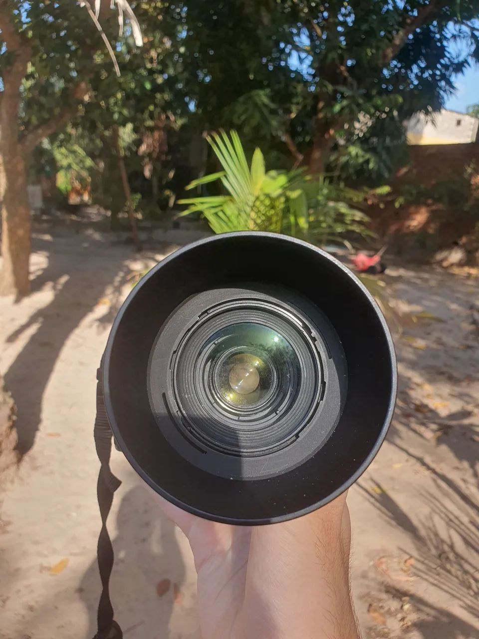 Nikon D3100 + 55-200mm VR  - Foto 3
