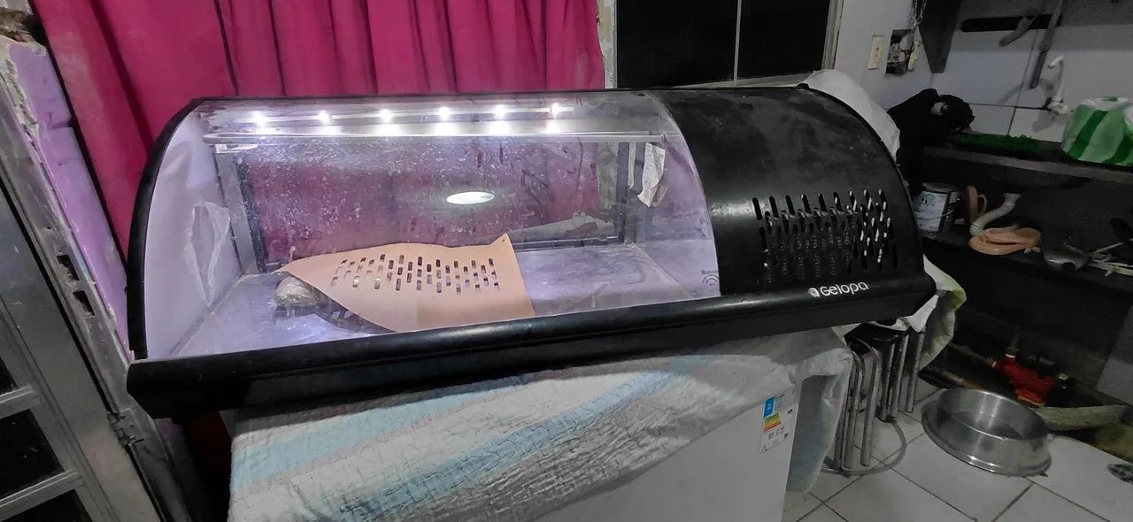 Vitrine Refrigerada Gelopa - Foto 2