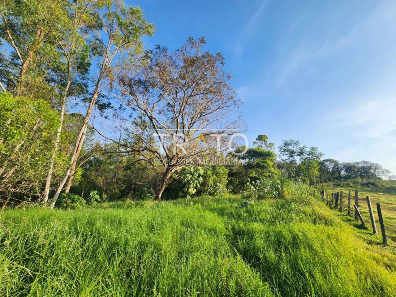 terreno - Carlos Gomes - Campinas - Foto 3