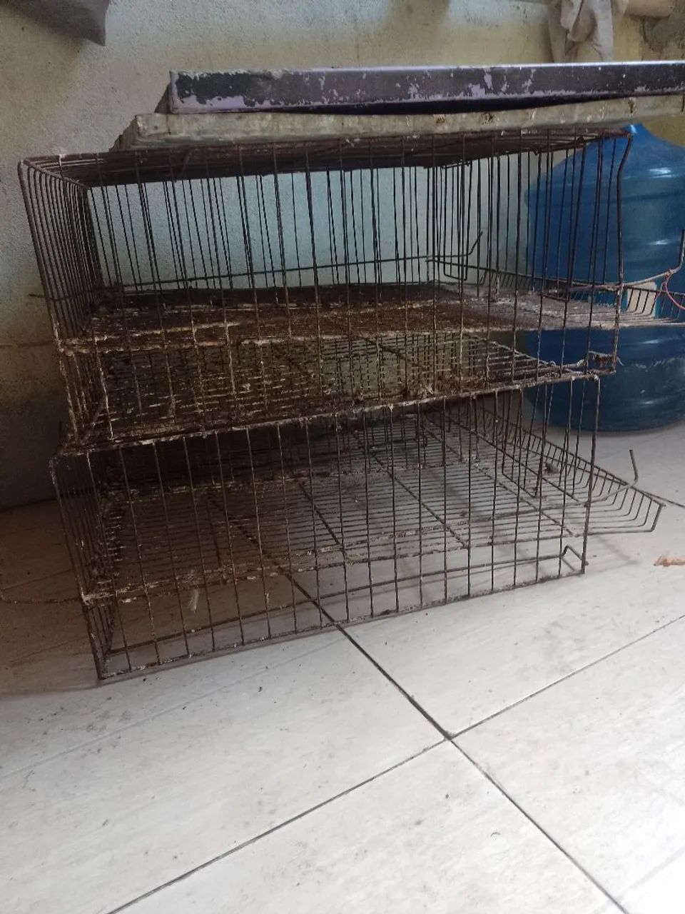Gaiola para Codornas  - Foto 2