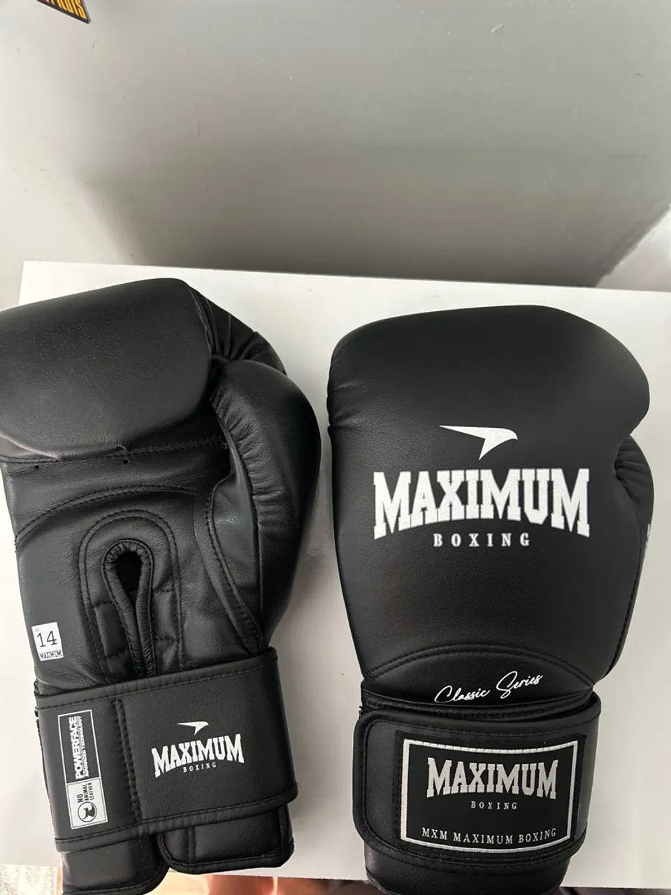Kit Muay thai com luvas e caneleiras