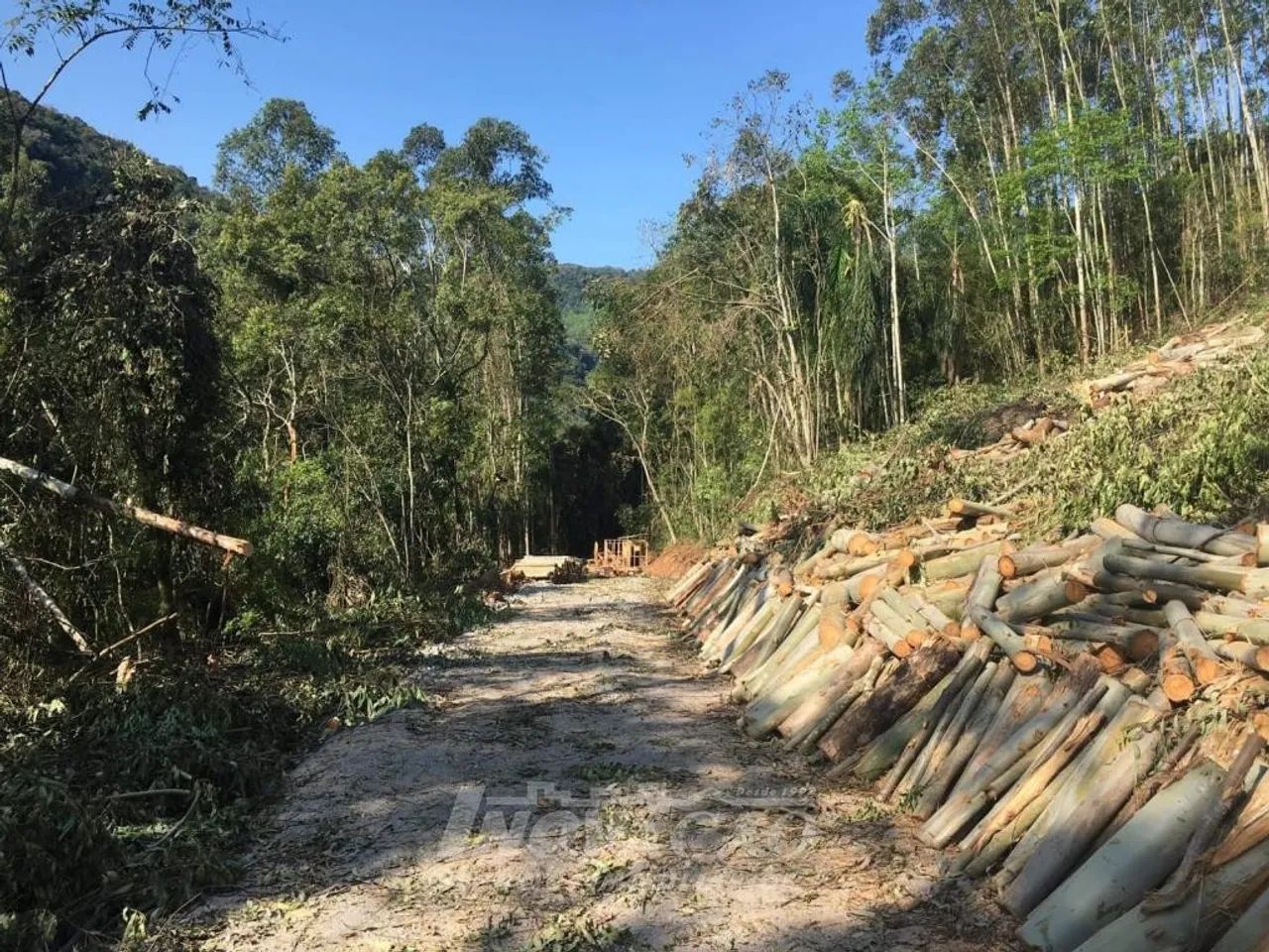 Chácara Vale do Rio Cai (Nova Petrópolis) Nova Petrópolis - Foto 5