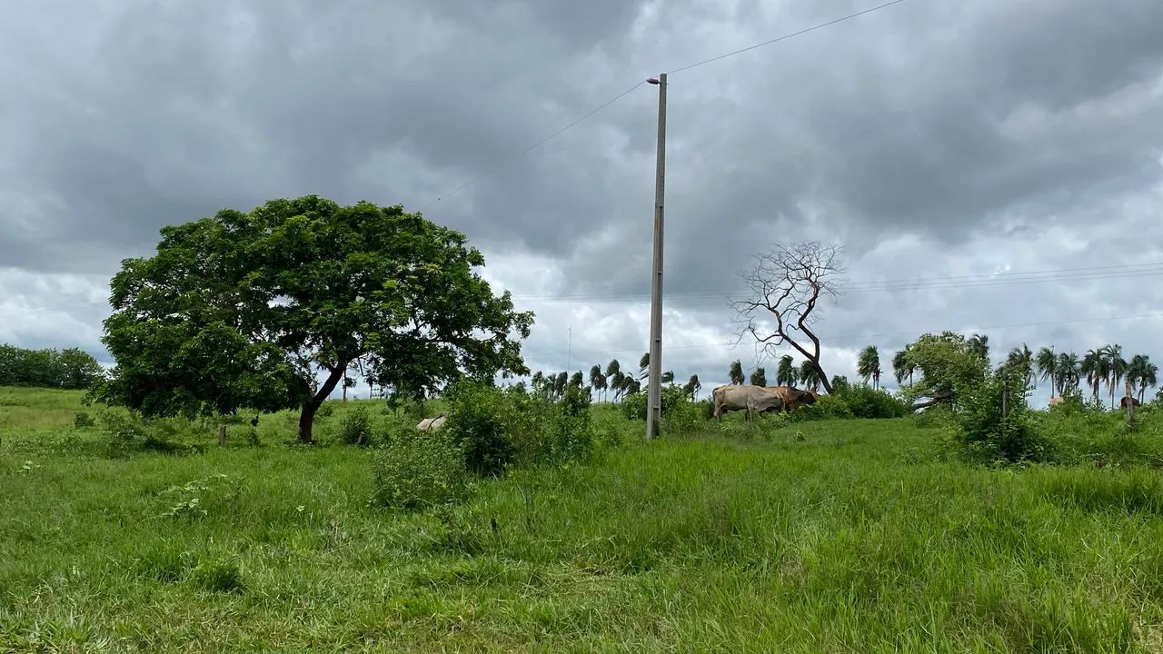 Chacara de 1.100mt todas com energia em trindade! - Foto 5