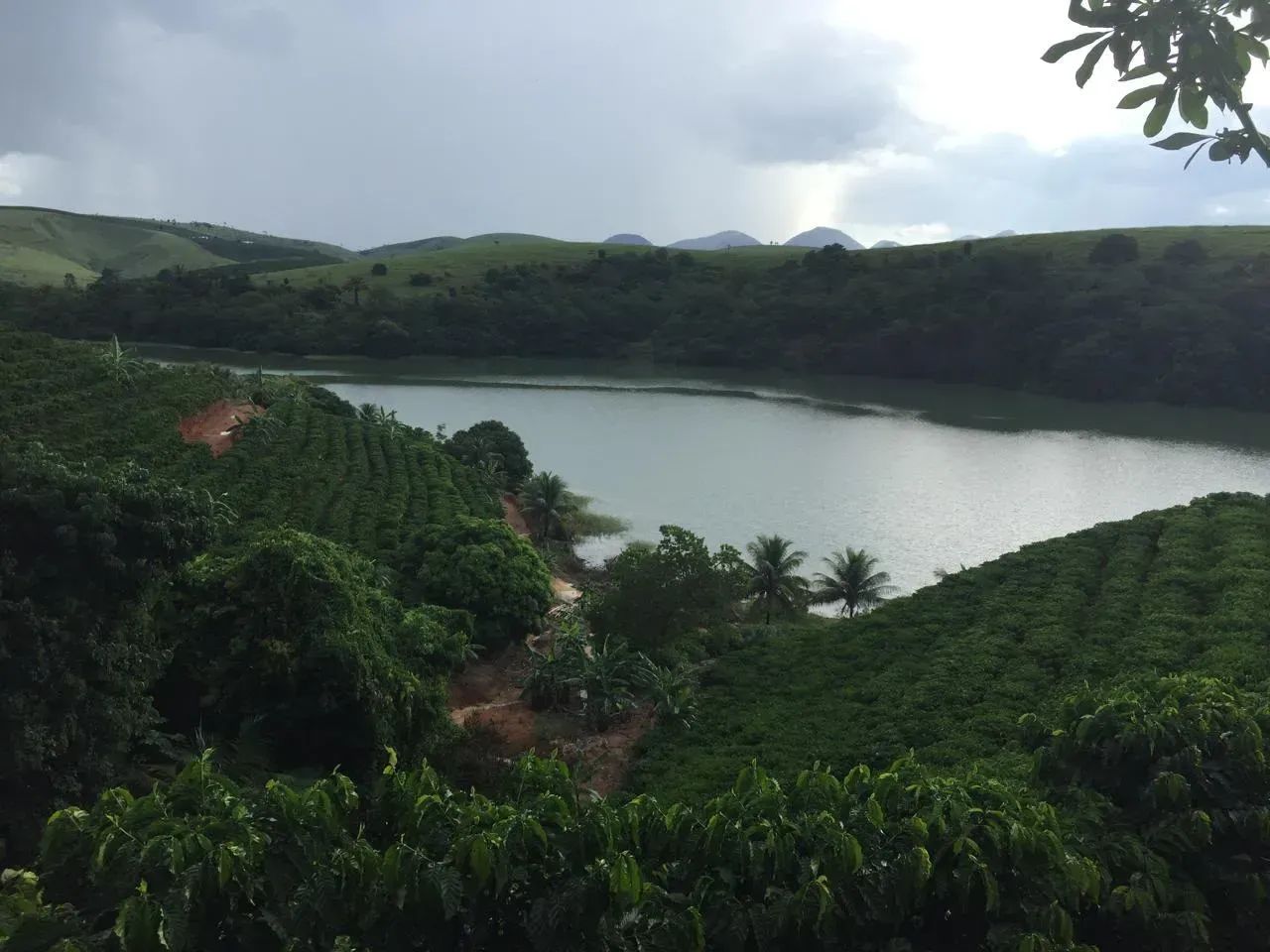 propiedade em lagoa terra alta - Foto 5