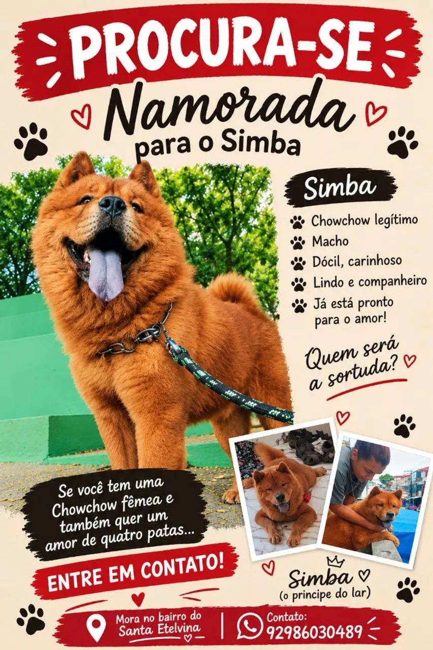 Procura-se uma namorada