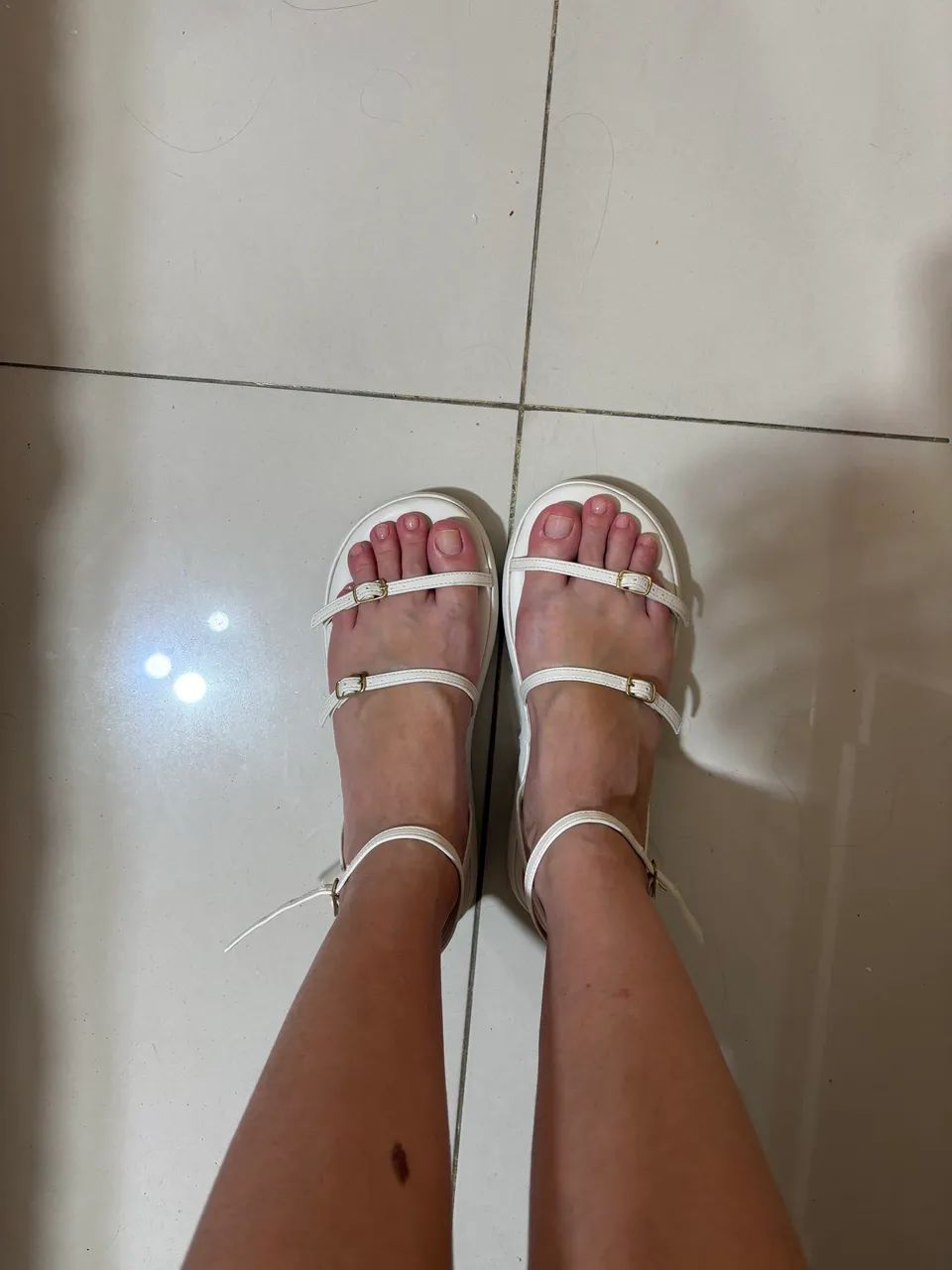 Flatform lilies