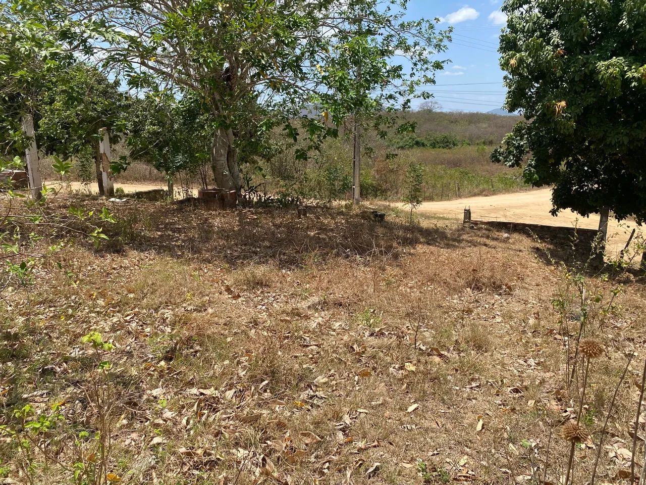 Vendo Terreno Precedência em Maranguape  - Foto 3