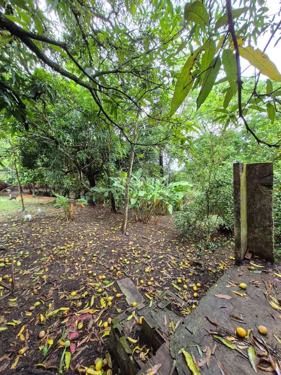 Lote/Terreno/Condomínio em Guabiraba