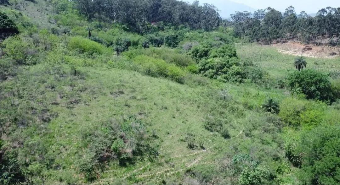 Oportunidade Única em Queimados: 45.000m² ao lado da Rod.<br><br>Pres. Dutra! - Foto 6