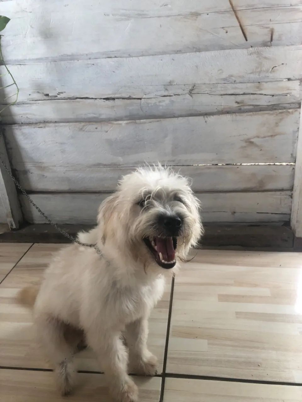 Doação  - Foto 4