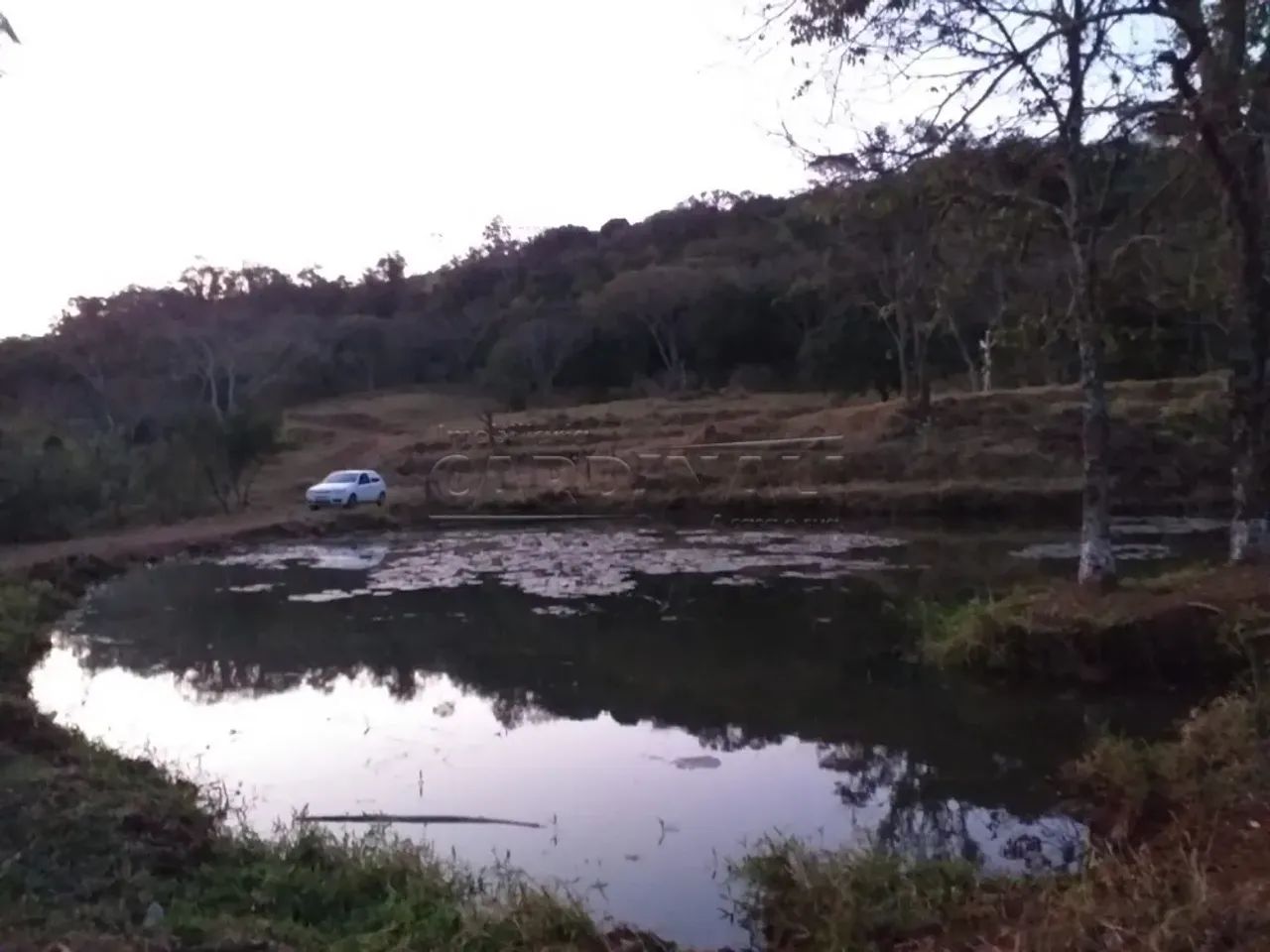 Rural Sítio em Descalvado - Foto 2