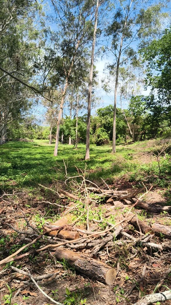 Foto - Piracicaba - Anhumas