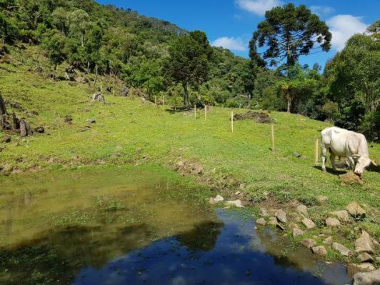 Urubici, sitio com varias cachoeiras/chácara em Urubici / fazenda em Urubici - Foto 20