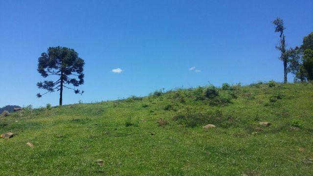 Urubici, sitio com varias cachoeiras/chácara em Urubici / fazenda em Urubici - Foto 9