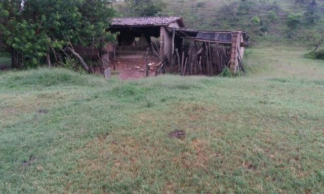 Propriedade com 2 casas de 13 hectares, em Sairé, 700 mil - Foto 2