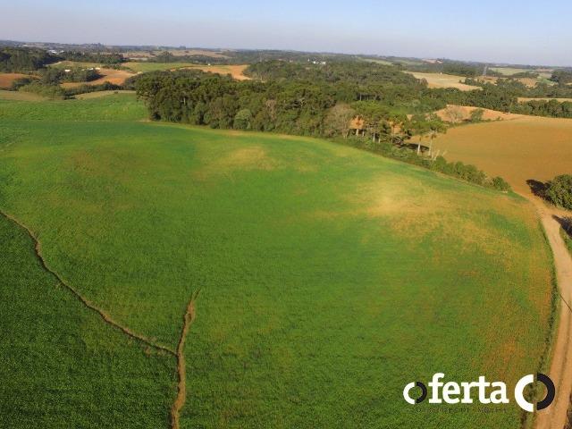 Chácara em Contenda - Foto 6
