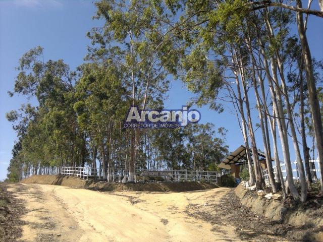Excelente Fazenda em Ipioca - Ipioca - Um Paraíso Auto Sustentável - Foto 19