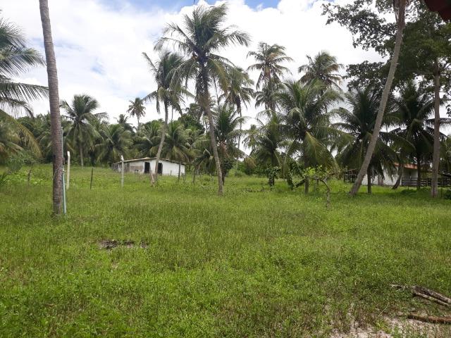 Oportunidade de Chácara, com 5,2 ha, há margem da RN 316, em Monte Alegre/RN - Foto 8