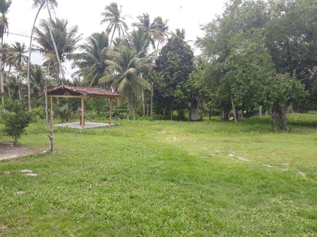 Oportunidade de Chácara, com 5,2 ha, há margem da RN 316, em Monte Alegre/RN - Foto 16