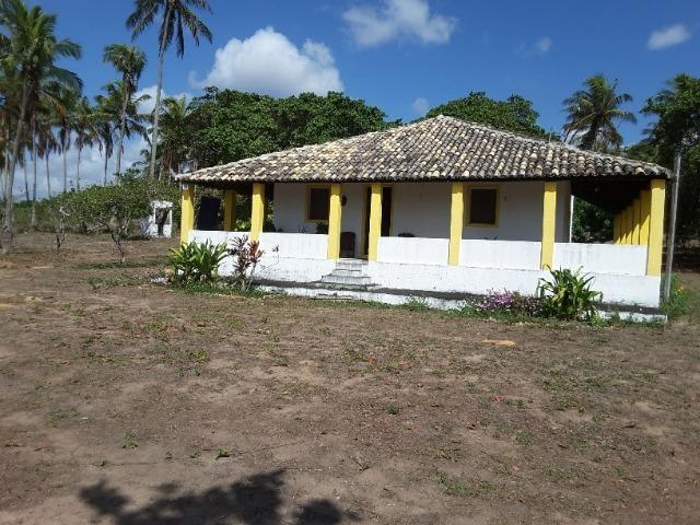 Fazenda em Dom Marcolino - Maxaranguape, RN - Foto 2