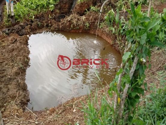 Sítio em teresópolis com cachoeira, nascente, terra para plantação e árvores frutíferas. - Foto 12