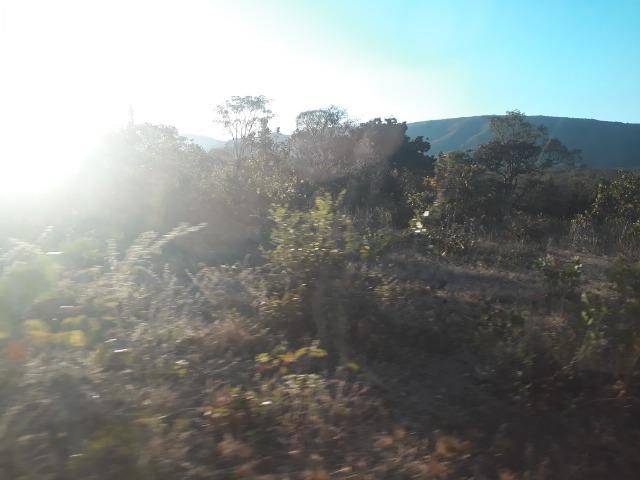 Fazenda 866 Hectares apos 35 km da Agrovila das Palmeiras - Foto 2