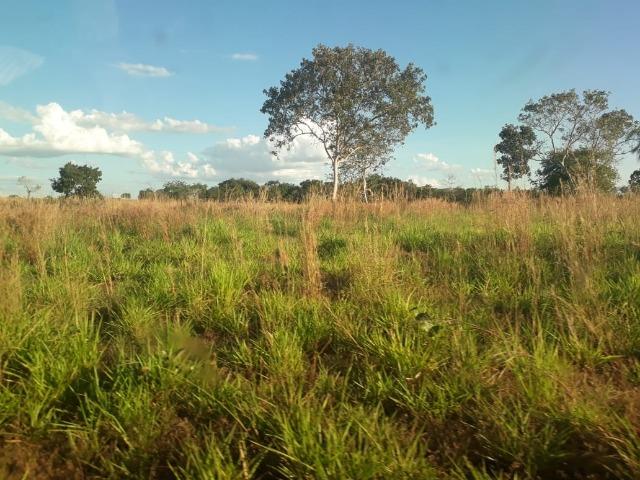 Fazenda para Pecuária em Livramento a 51 km de Cuiabá - Foto 6