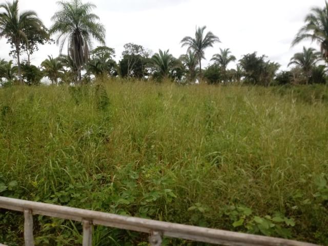 Fazenda para Pecuária em Livramento a 51 km de Cuiabá - Foto 7
